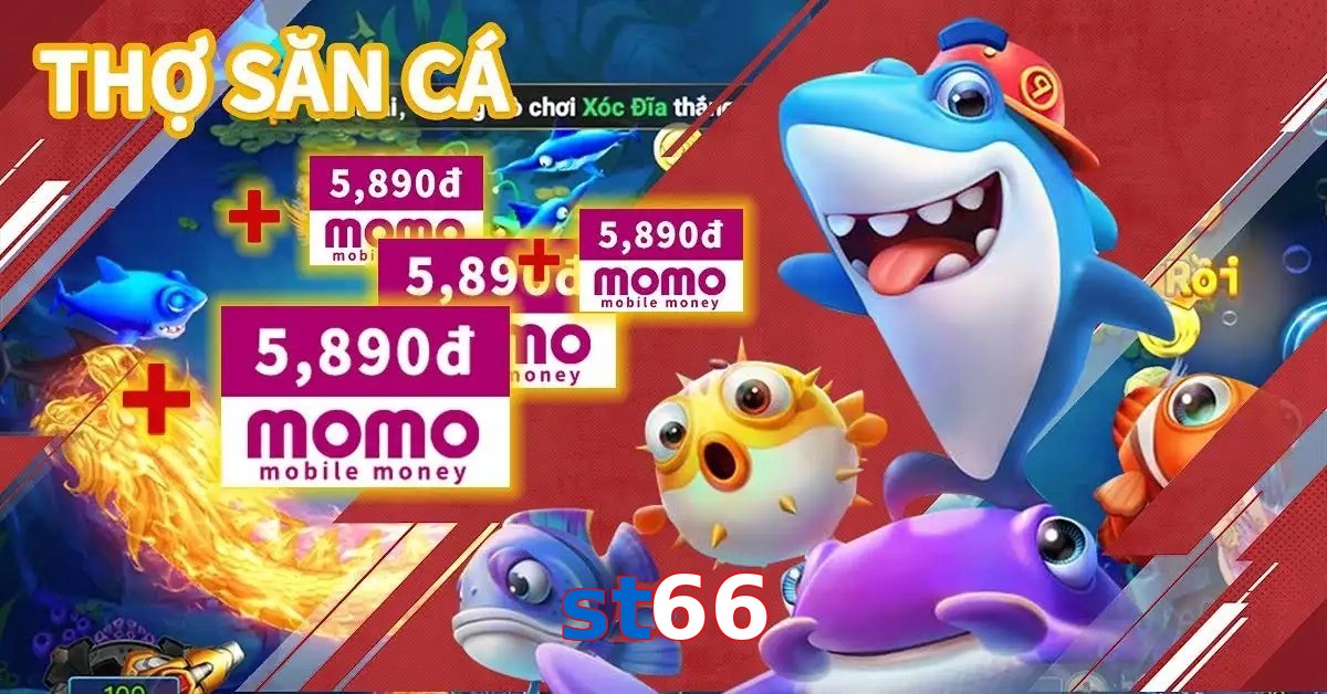 st66
